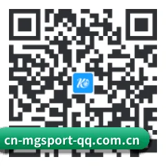 系统版 iOS 二维码